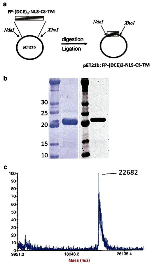 Fig. 2