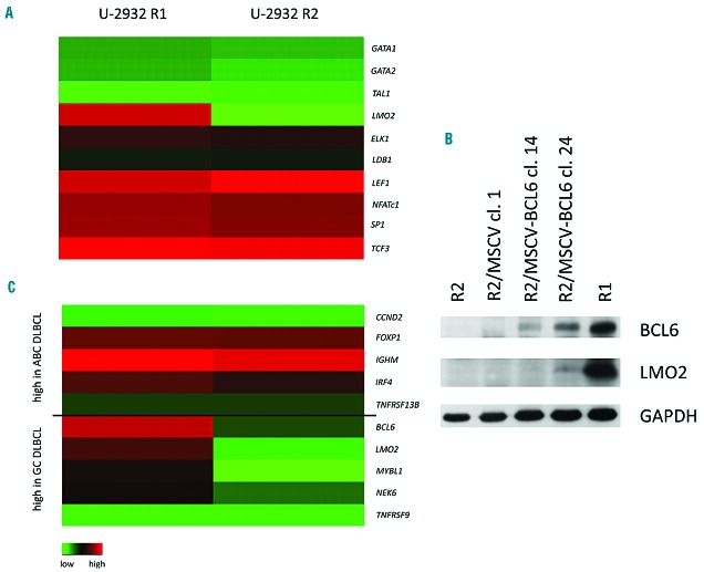 Figure 6.