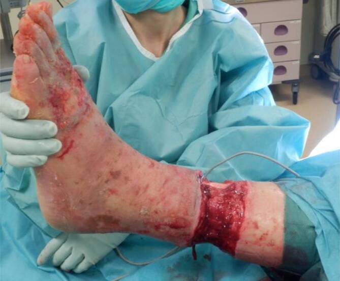 graphic file with name 113_2020_951_Fig2_HTML.jpg