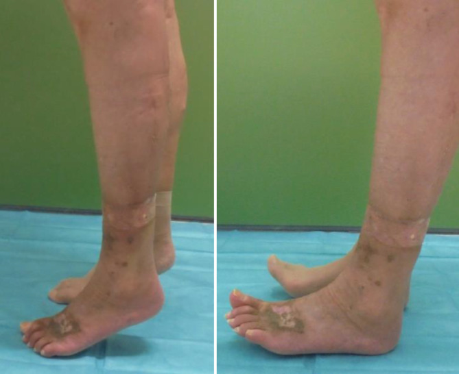 graphic file with name 113_2020_951_Fig6_HTML.jpg