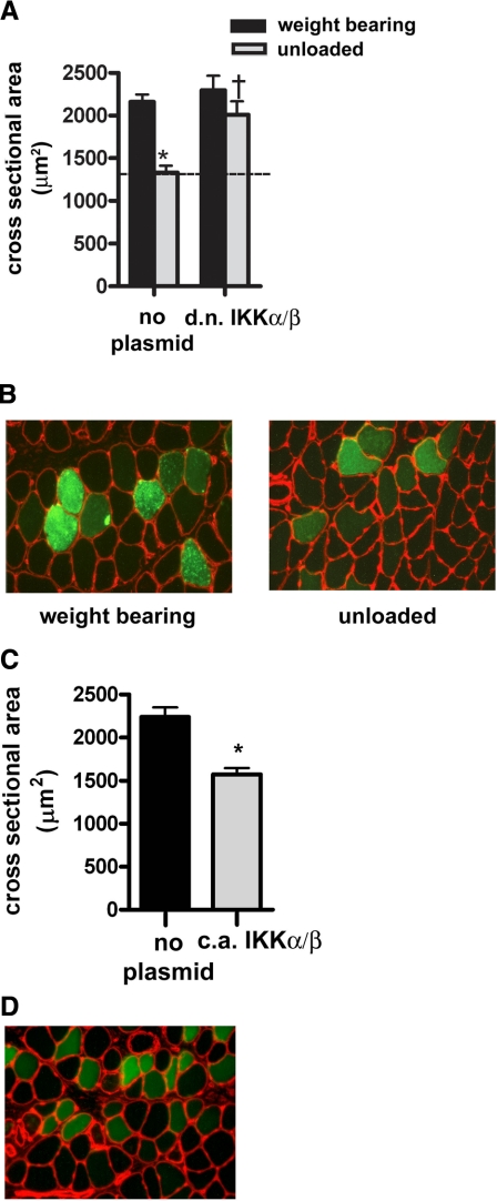 Figure 7.