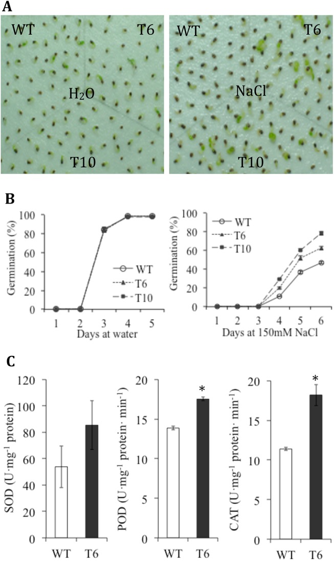 Fig 5