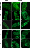 Fig. 9