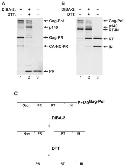 FIG. 5.