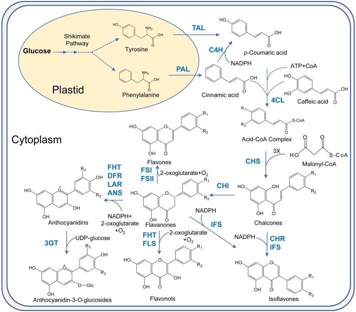 FIGURE 3