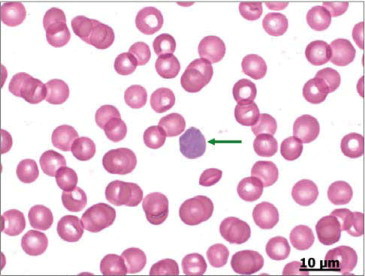 Figure 7