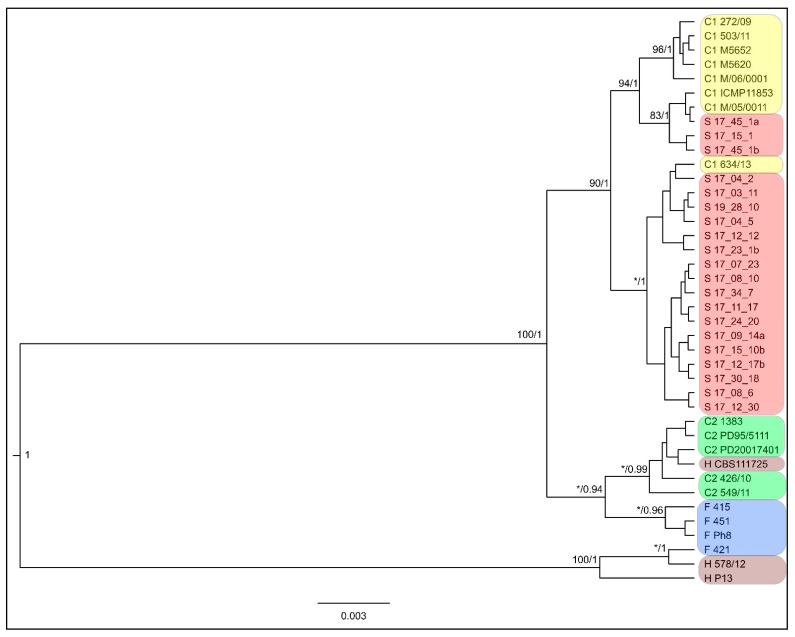 Figure 2