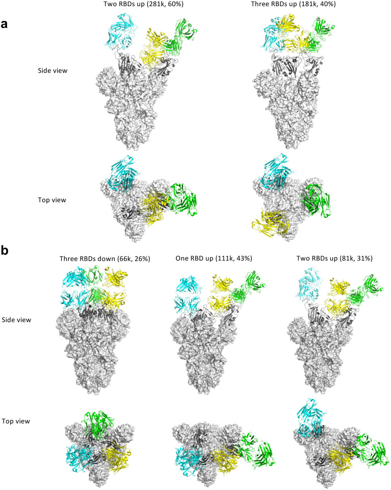 Figure 2 |