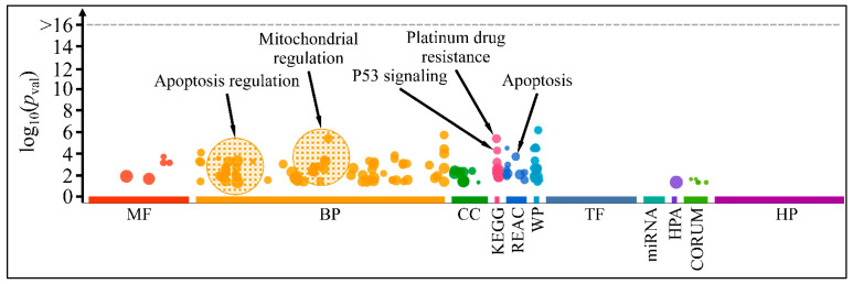 Figure 13