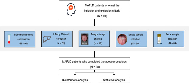 Figure 1