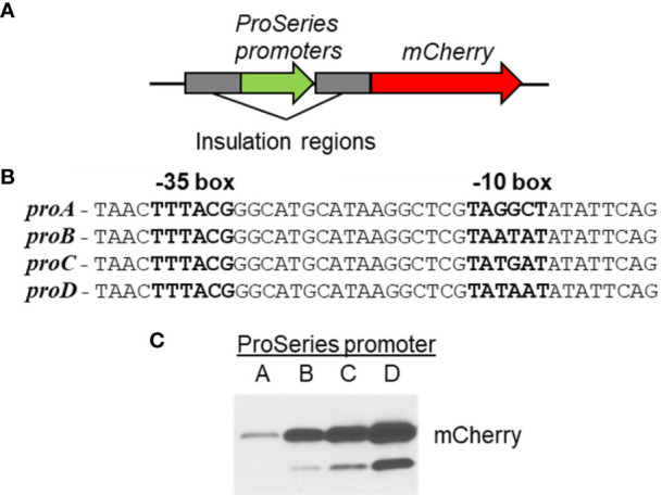 Figure 6