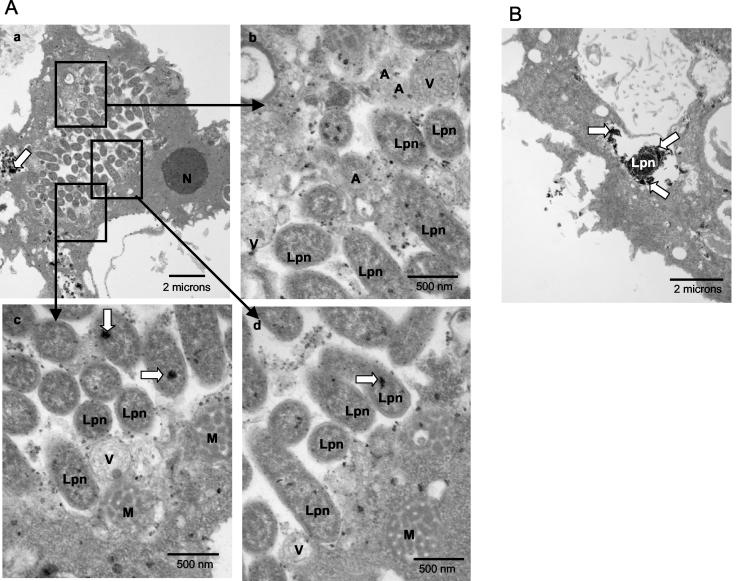 FIG. 6.