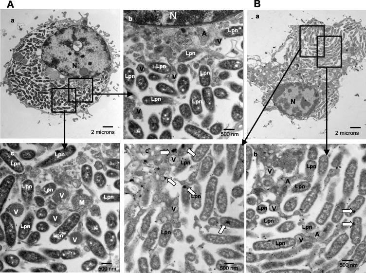 FIG. 4.