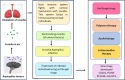 Image, graphical abstract