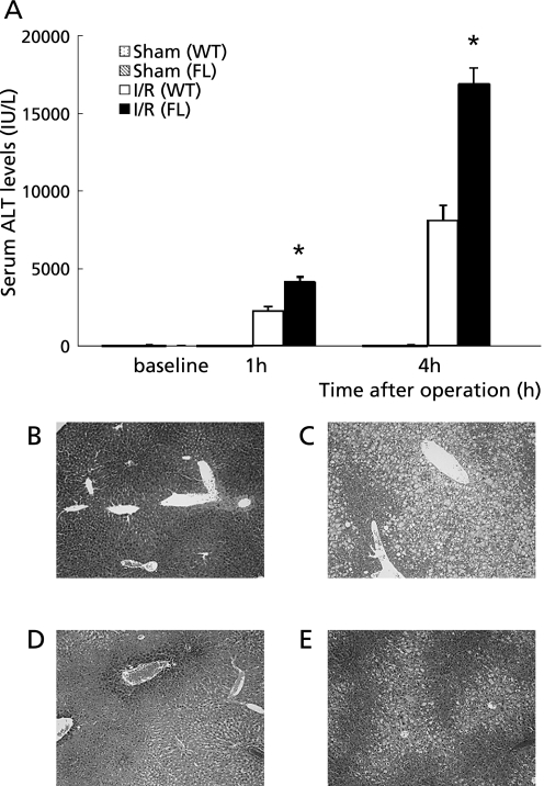 Fig. 4