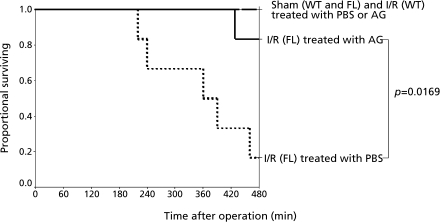 Fig. 7