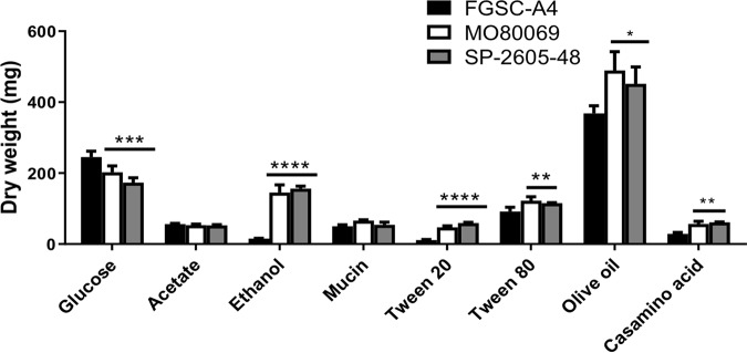 FIG 1