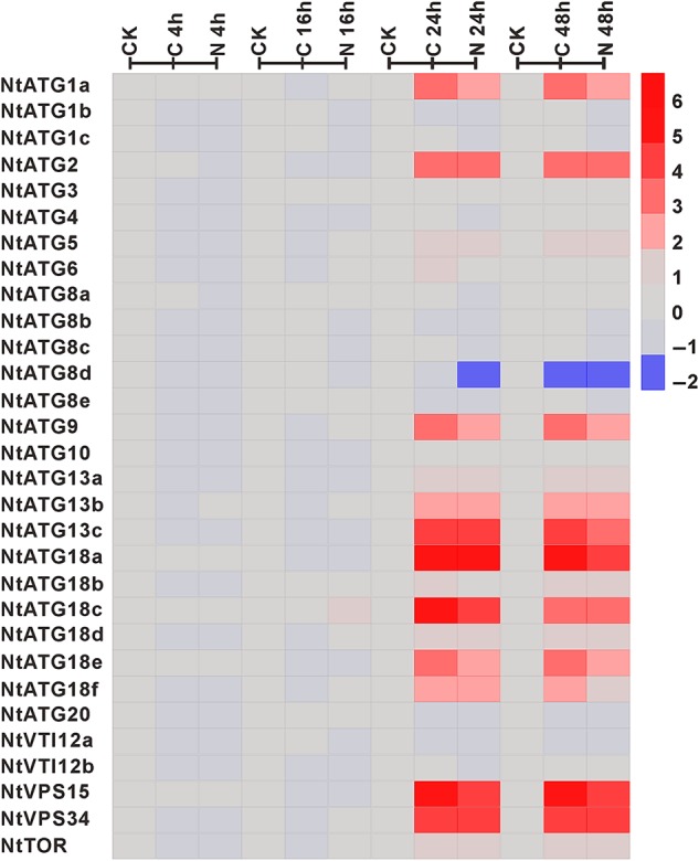 Figure 6.