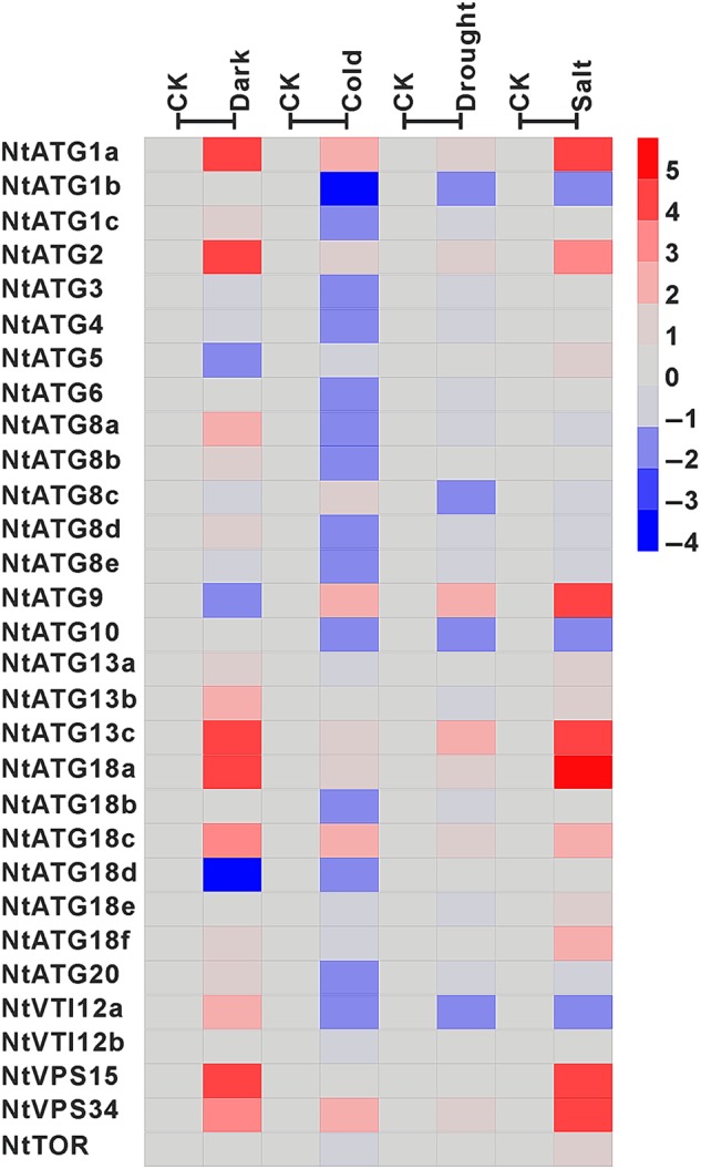 Figure 7.