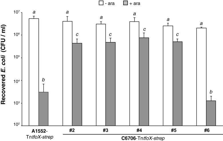 FIG 4 