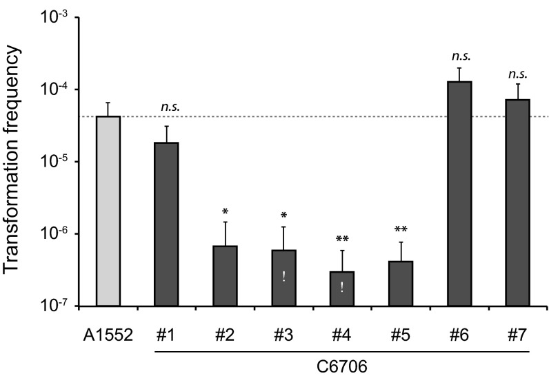 FIG 2 