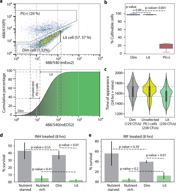 FIG 2