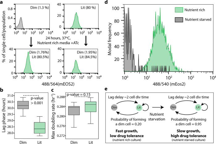 FIG 3