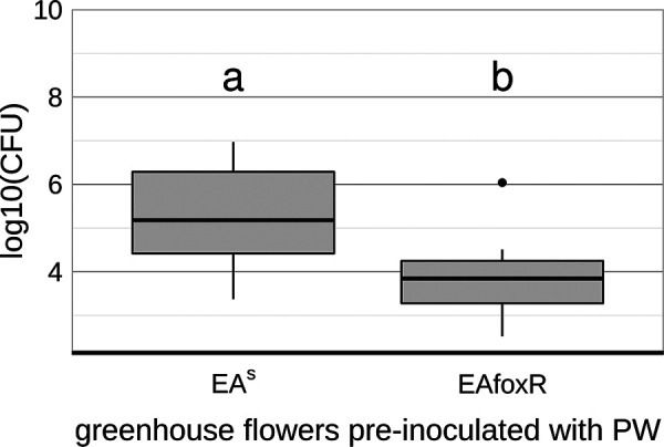 FIG 10