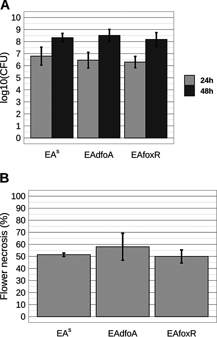 FIG 6