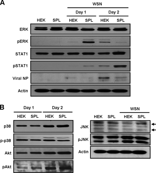 FIG. 5.