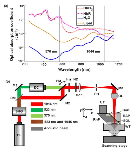 Fig. 1