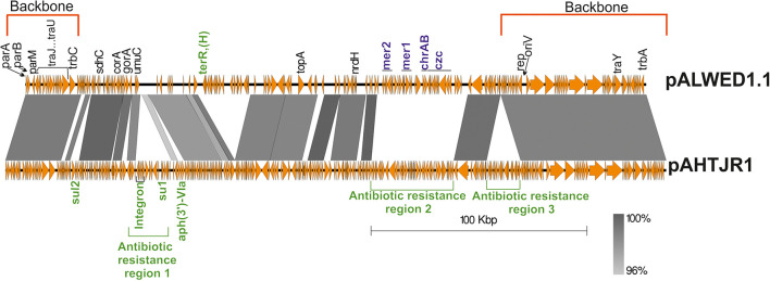 FIGURE 3