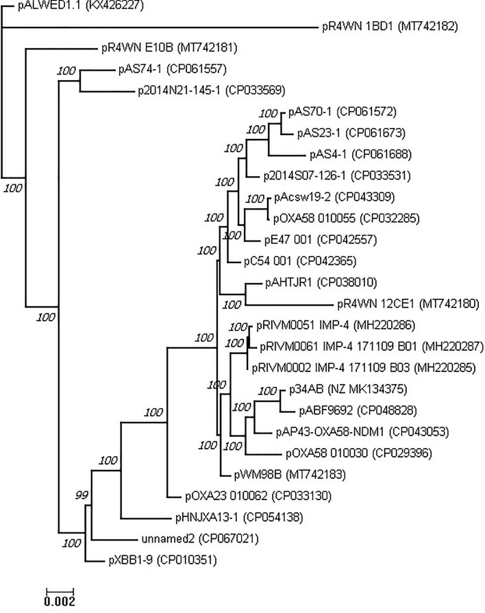 FIGURE 5