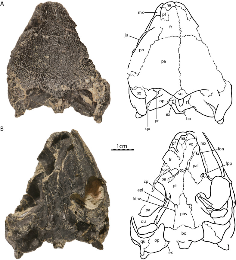 Fig. 1