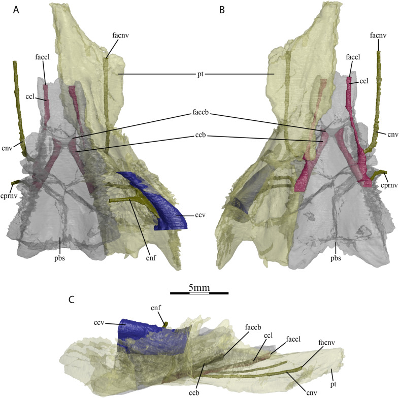 Fig. 5