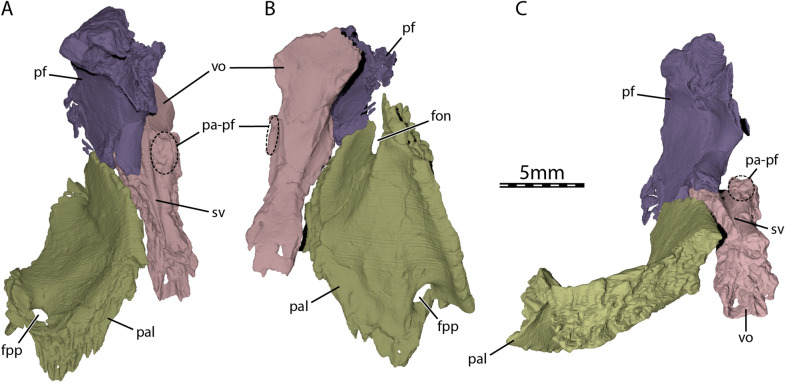 Fig. 4