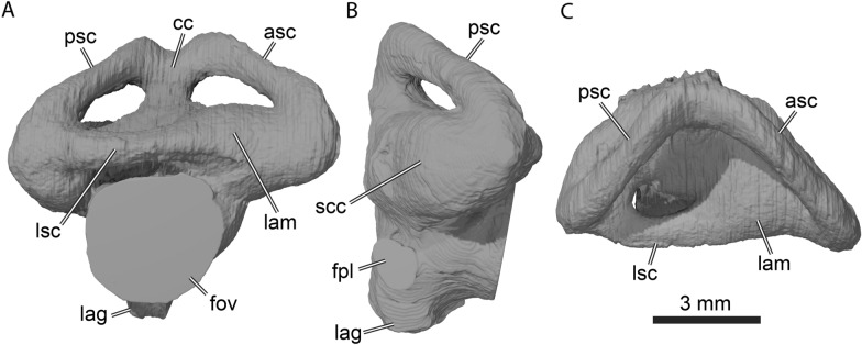 Fig. 9