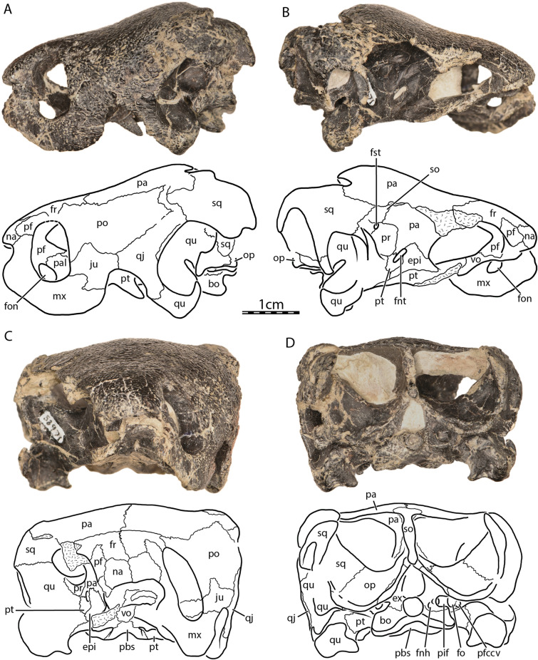 Fig. 2