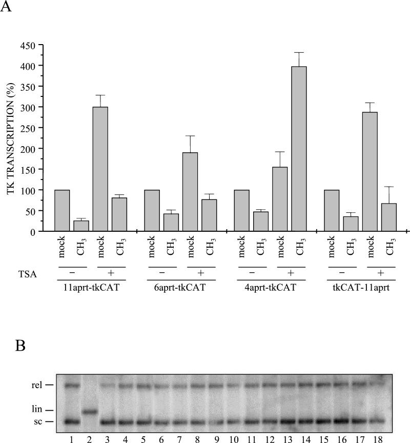 FIG. 5.