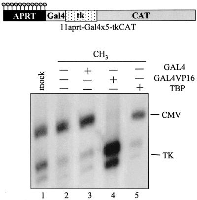 FIG. 7.