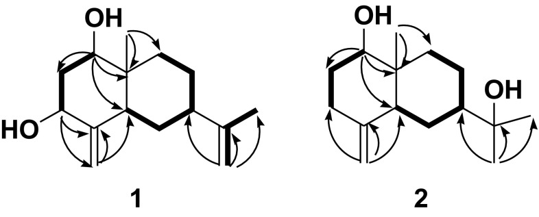 Fig. 2