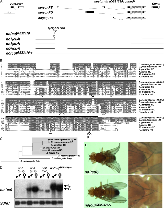 Figure 1.—