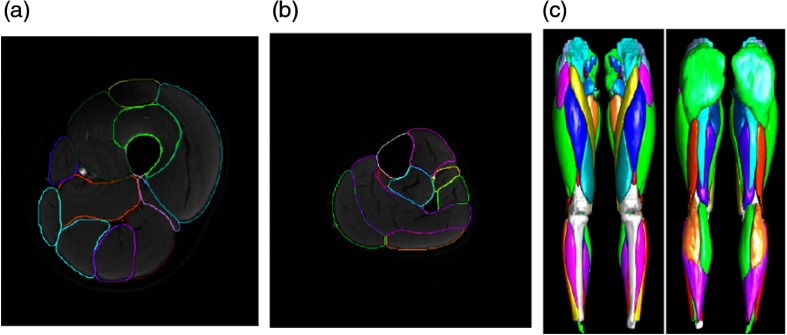 Fig. 7