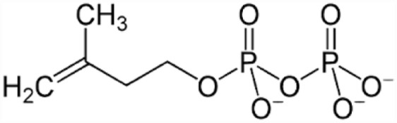 Figure 11.