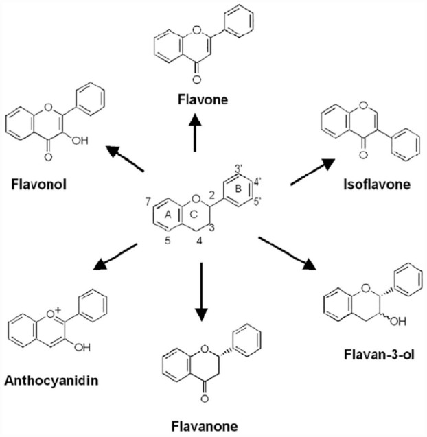 Figure 6.