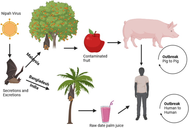 Fig. 1