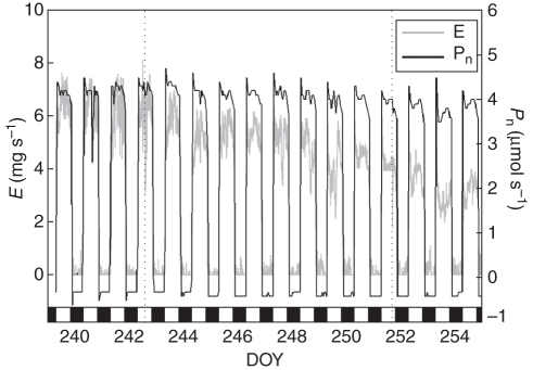 Fig. 2.