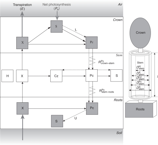 Fig. 1.