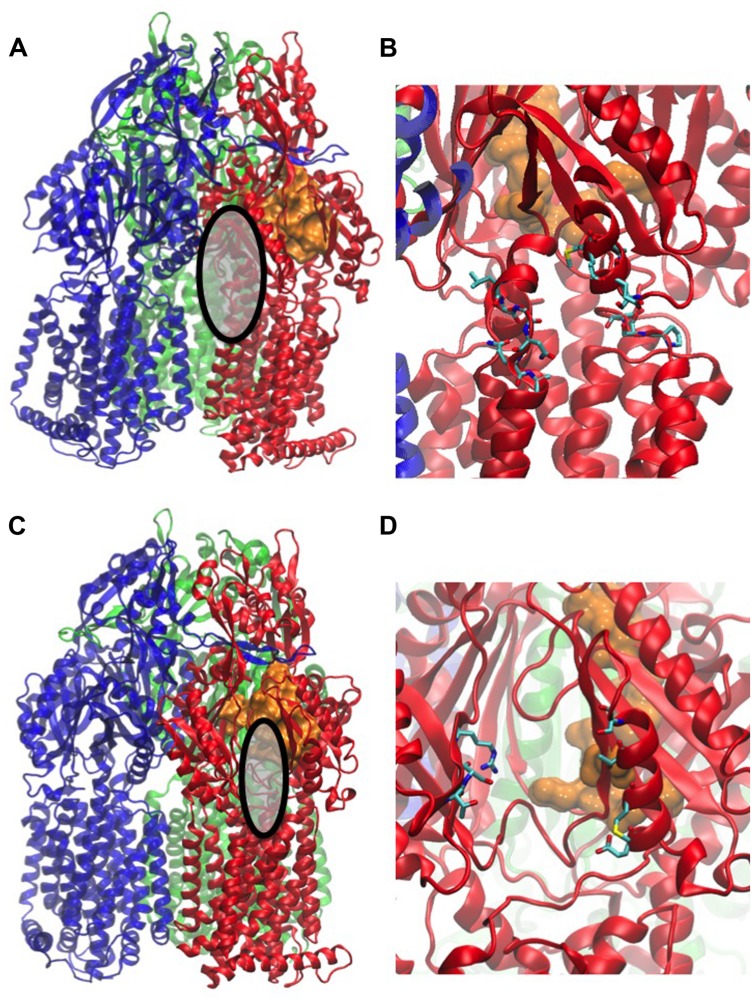 FIGURE 3