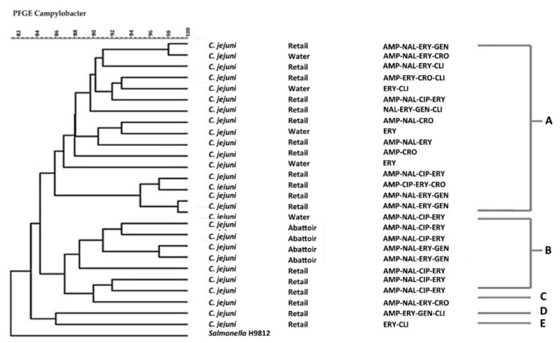 Figure 7